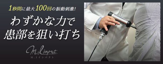 整体 インパクト療法